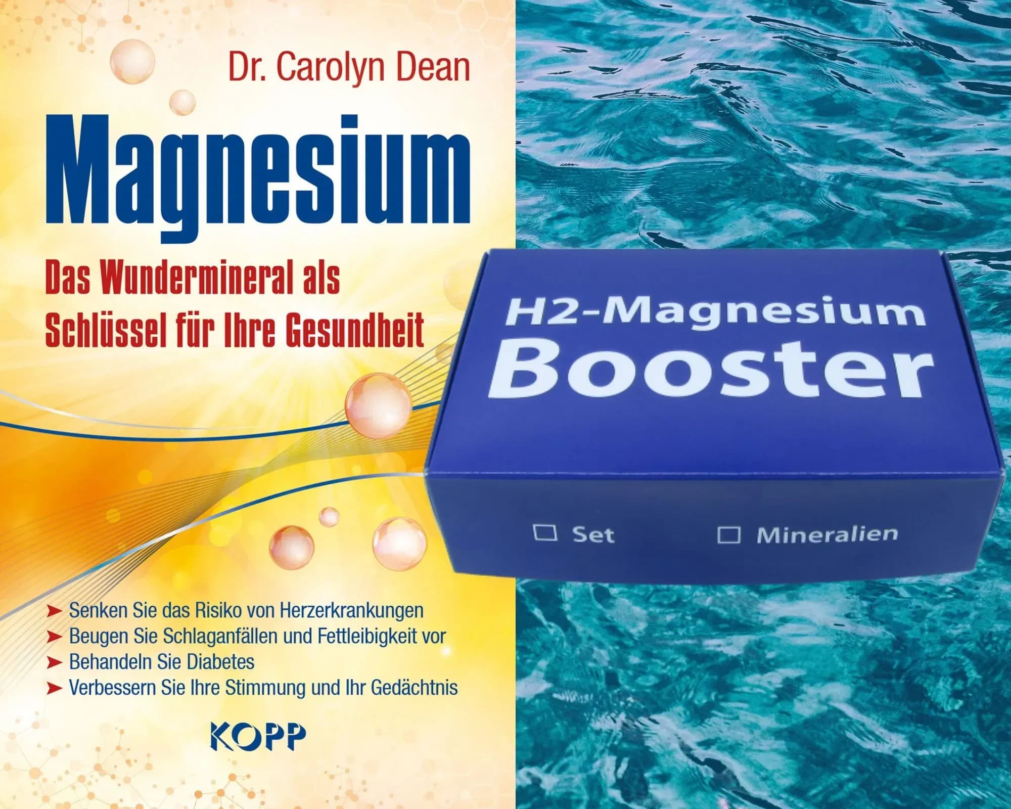 Magnesium BOOK
